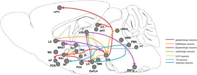 Recent advances in neural mechanism of general anesthesia induced unconsciousness: insights from optogenetics and chemogenetics